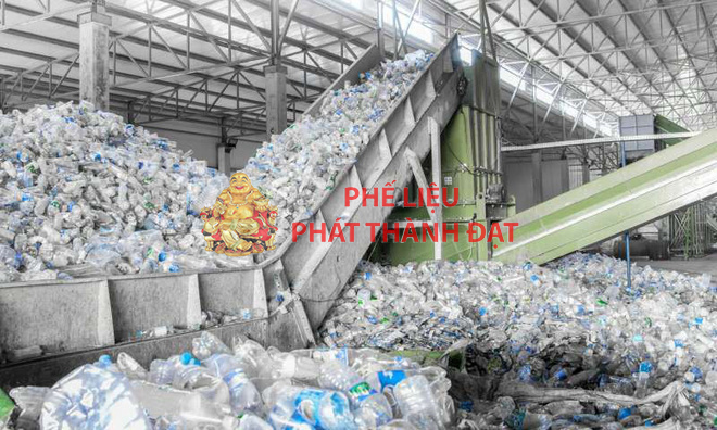 Rác thải nhựa là gì? Tác hại của rác thải nhựa như thế nào?