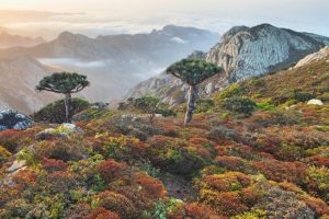 8 cảnh thiên nhiên trên thế giới đẹp đến khó tin
