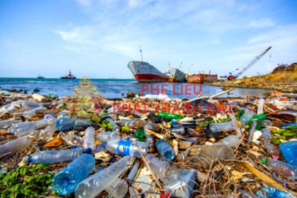 Rác thải nhựa là gì? Tác hại của rác thải nhựa như thế nào?