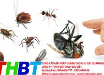Top 3 Dịch vụ diệt mối, côn trùng uy tín nhất tỉnh Quảng Nam