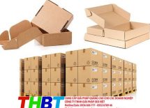 Top 7 địa chỉ bán thùng carton chuyển nhà huyện Cần Giờ